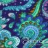 00934691-2