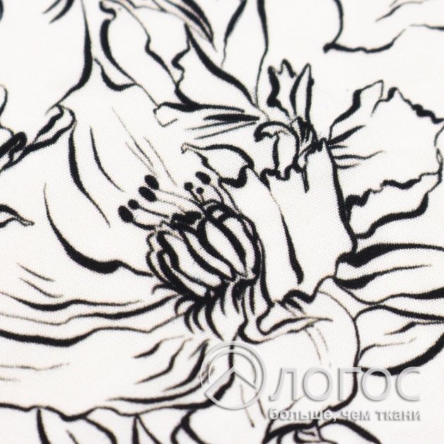 00947053-2