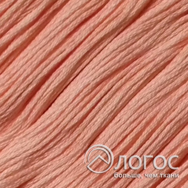 00362106