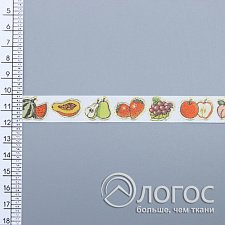 00402703