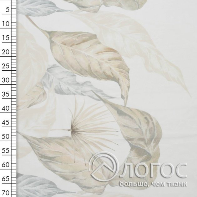00930045-5