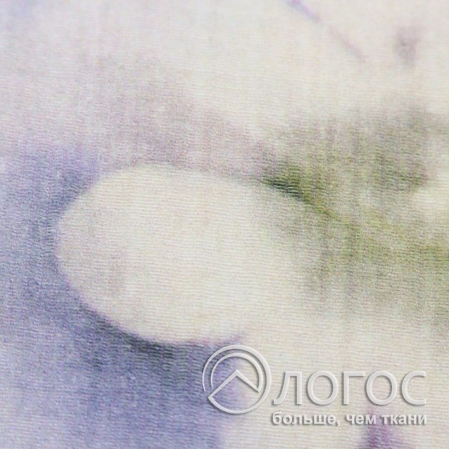 00947036-2