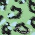 00932531-2